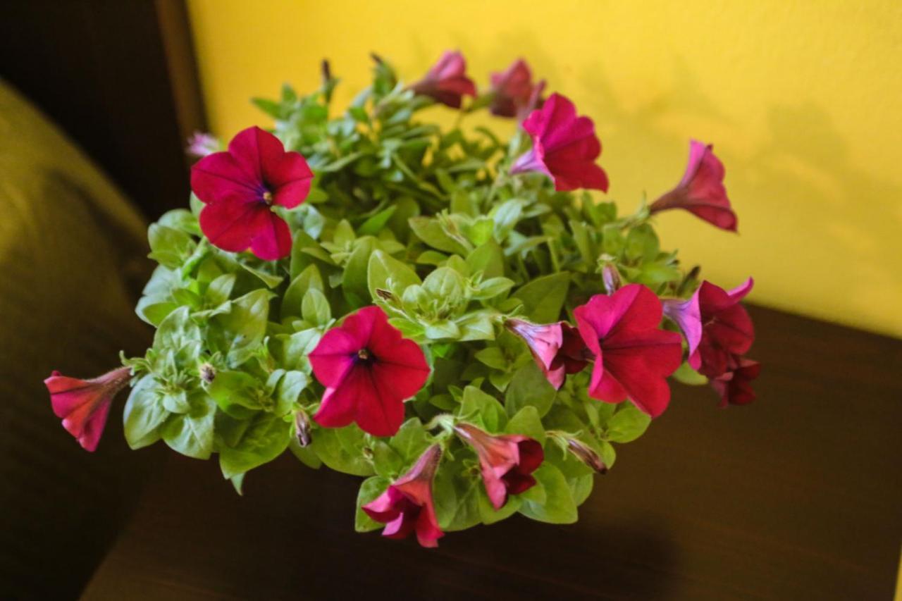 Hotel I Colori Sant'Antioco Ngoại thất bức ảnh